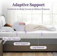 SINWEEK 3 Inch Gel Memory Foam Mattress Topper Queen Size, Ventilated High Density Pad for Back Pain, Bed Topper with Removabl 2