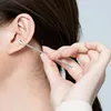 Ear Pick Six-piece Set Ear Cleaning Ear Picking Earpick Convenient Portable Portable Ear Pick Household Portable for Adults 5
