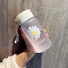A flower B