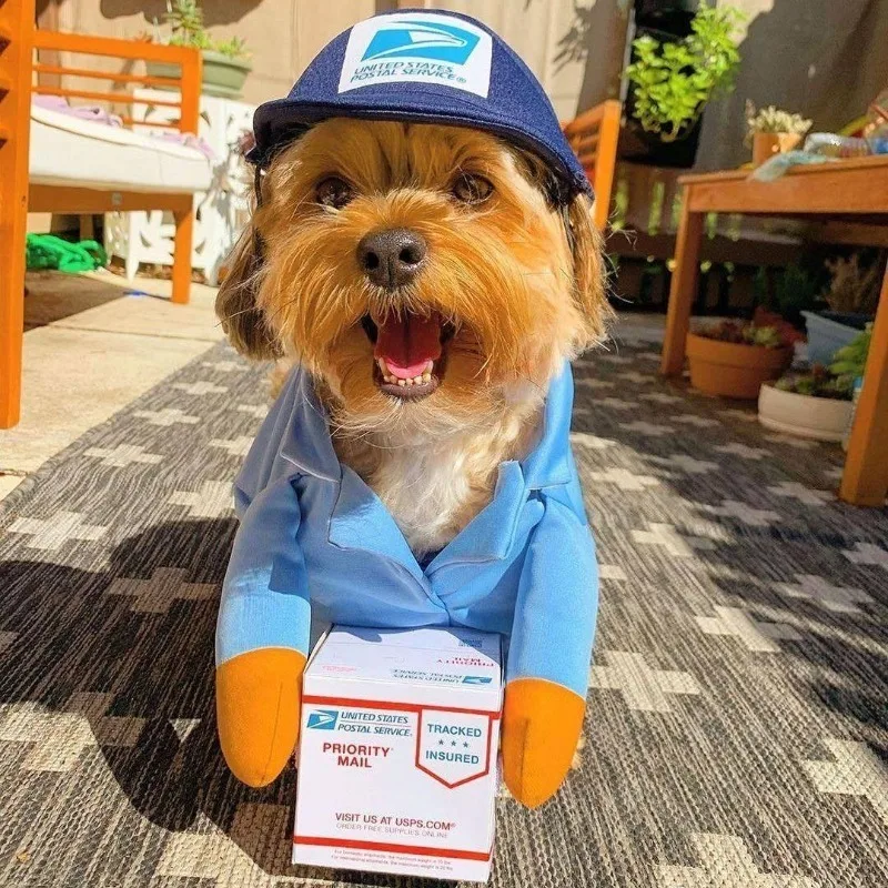Funny Courier Pet Costume 3