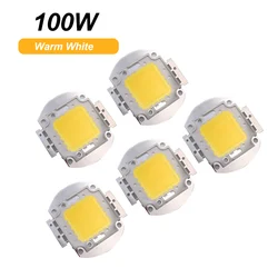 Powerful 100W Dual Color Warm & Cool White LED Light Matrix Chip for DIY Lighting Projects (5PCS  White)