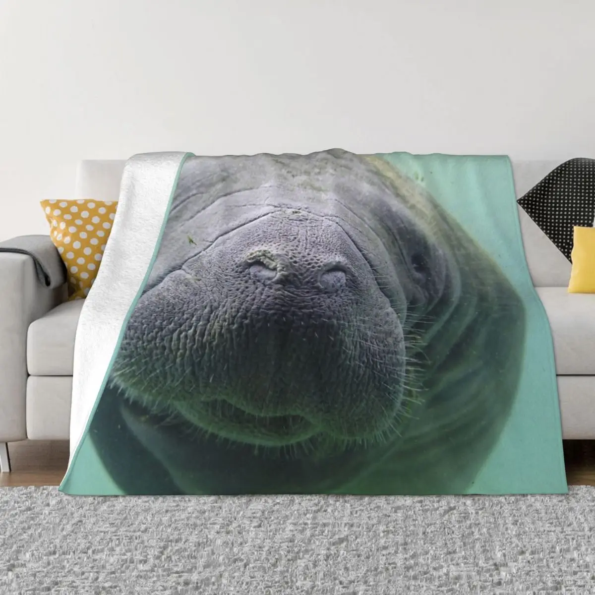Manatee-��� ħ�� �ִϸ��̼� ���, ���̺� ���