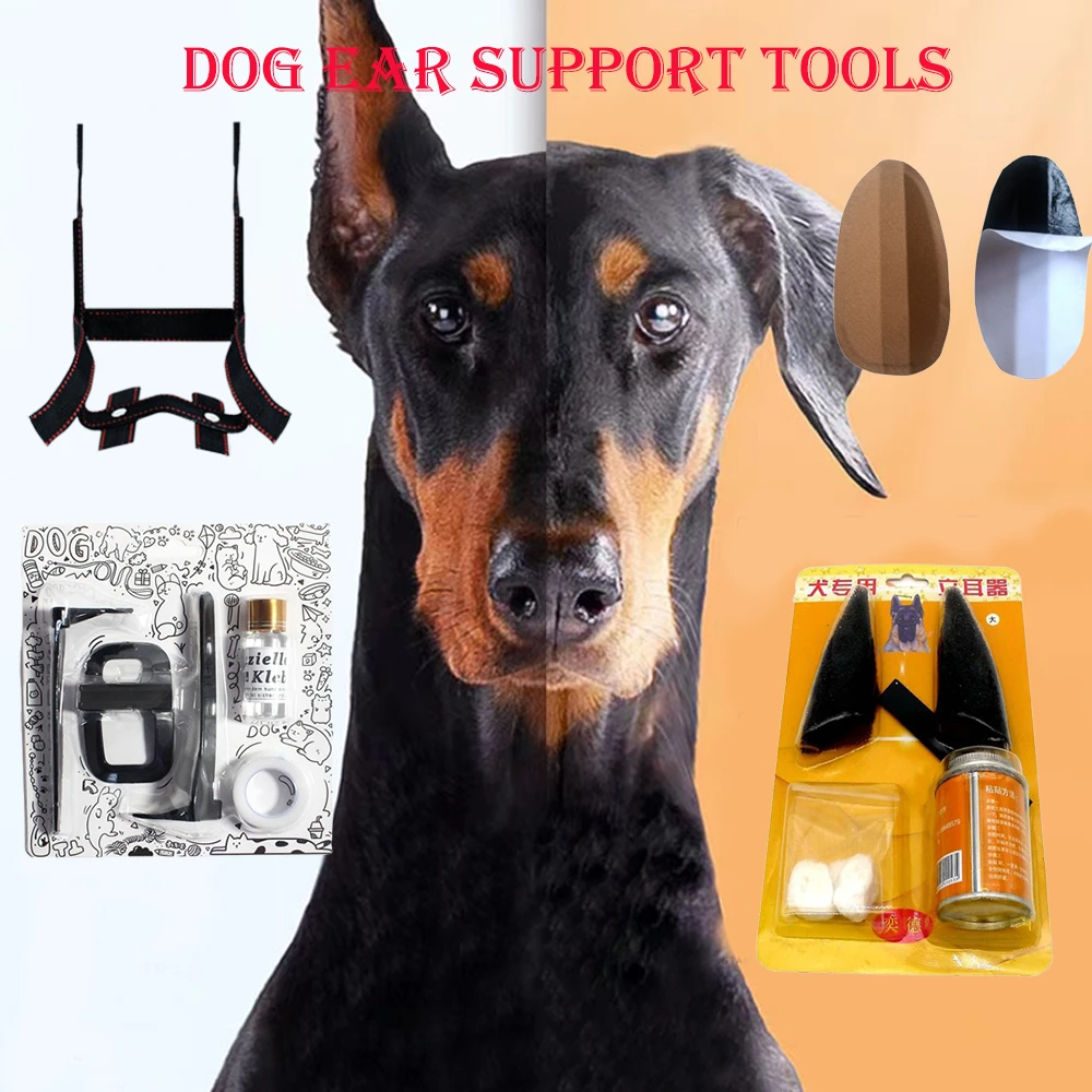 How Do They Get Dobermans Ears To Stand Up