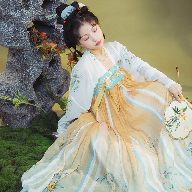 Tang Hanfu Female Adult Summer Chinese Style Super Immortal Students 6 Meter Print hsk 1 6 adult copybook english exercise chinese standard course students workbook and textbook libros art for kids books