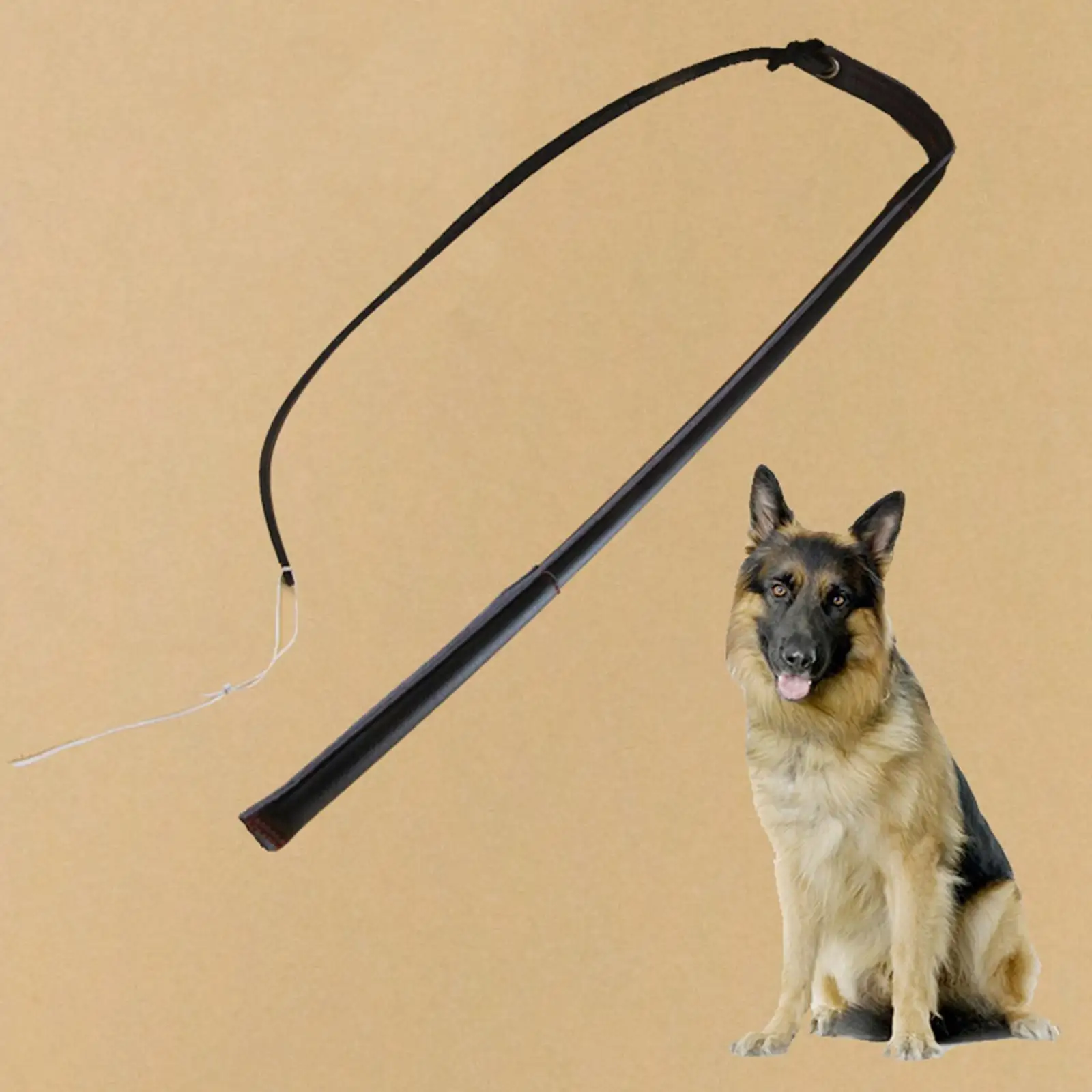 Dog Training Whip 5 Feet Belt for German Shepherd for Middle Dogs Interactive Dog Toy Tail Toy Whip Training Stick Bull