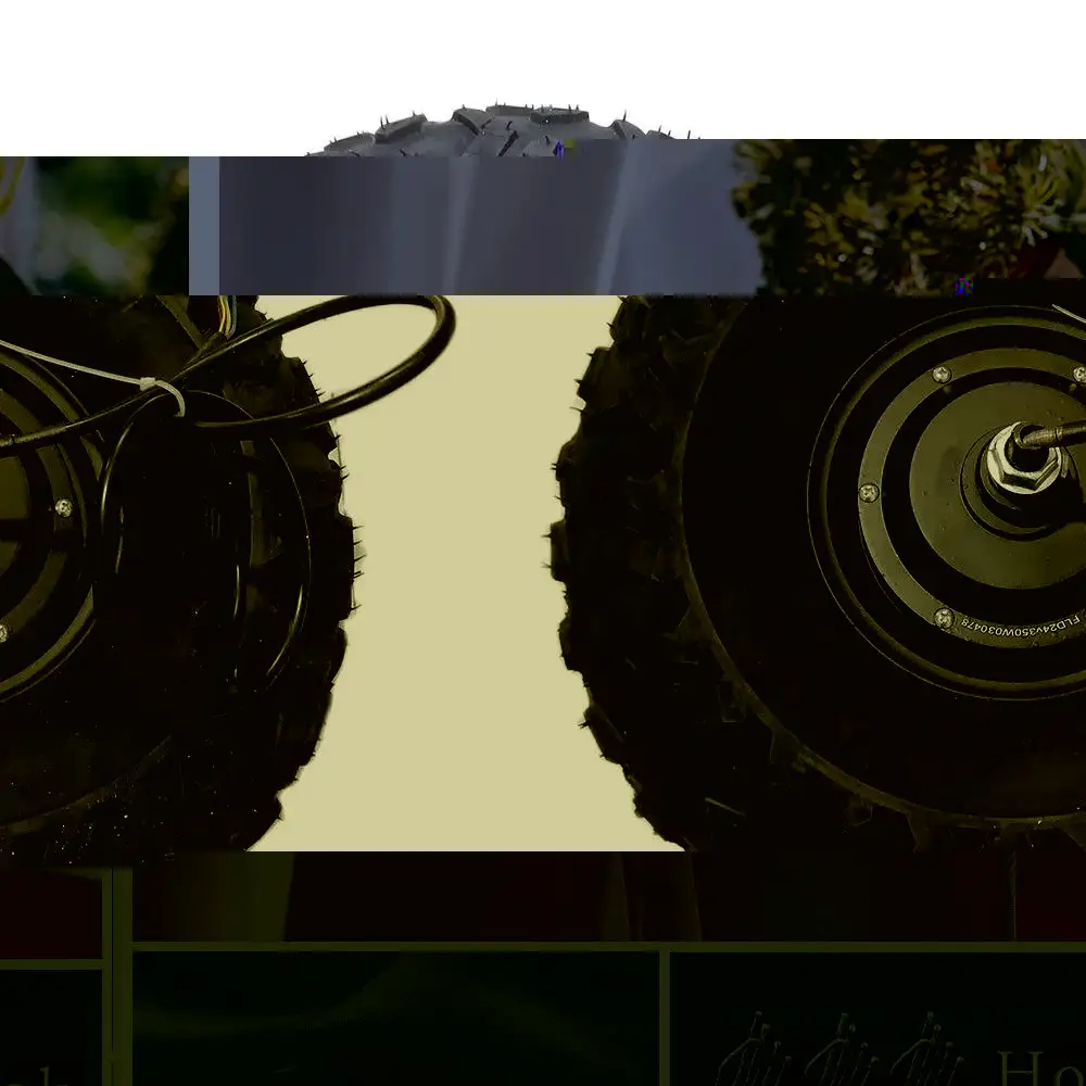 14.5 inch Wheel 24V 36V 48V 350W 500W high torque 40 N.M Electric Wheelbarrow Hub Motor All Terrain Off Road Rough Tyre