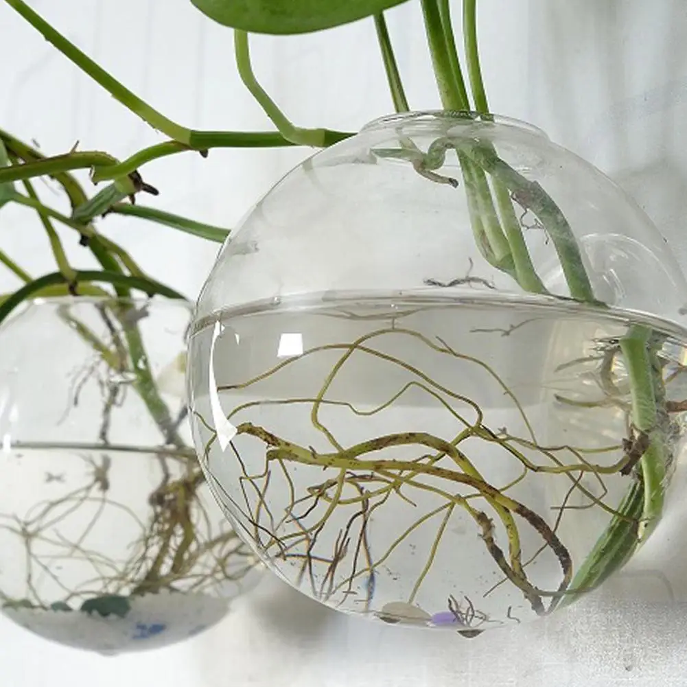 Wall-Mounted Glass Vase, Wall Hanging Hydroponic Glass Flowerpot, Transparent Half Globe Shape Plant Container, Fish Tank