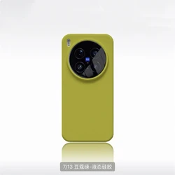 Luxury Liquid Soft Silicone Case with Built - in Flocking Cover and Comfortable Feel - Vivo X100 Pro (HO6)