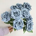 Fog blue