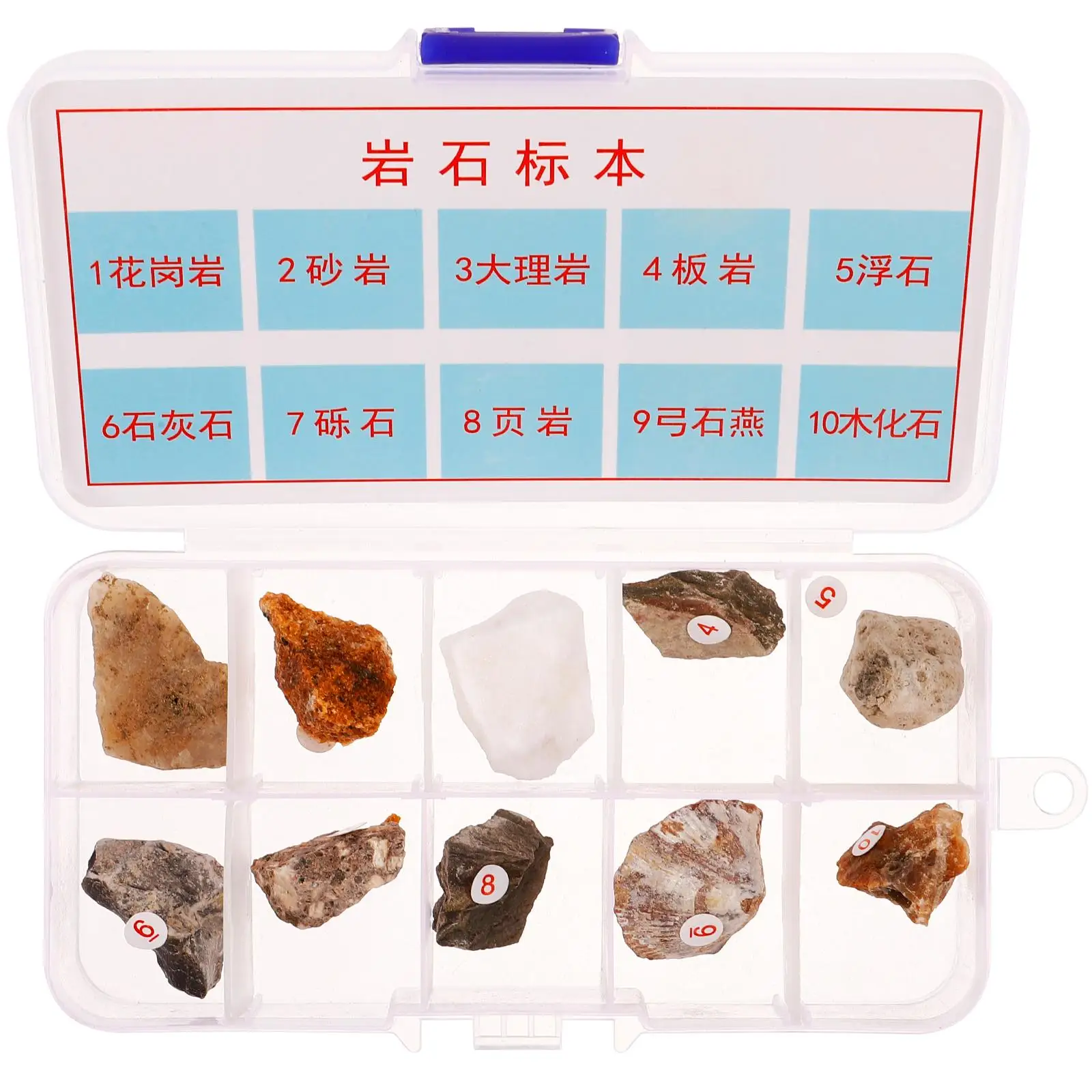 10pcs 암석 표본 교육 보조 수집을위한 천연 미네랄 돌 샘플 키트 교육 도구 과학 지리학