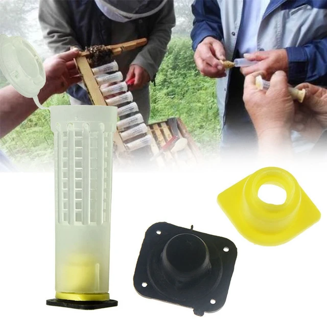 Bee Méhészeti Fogó Tenyésztés Cupkit Rendszer Méhek Ketrecek King Queen Box Cellák Ketrec Méhészet Különleges Eszközök 1 Készlet