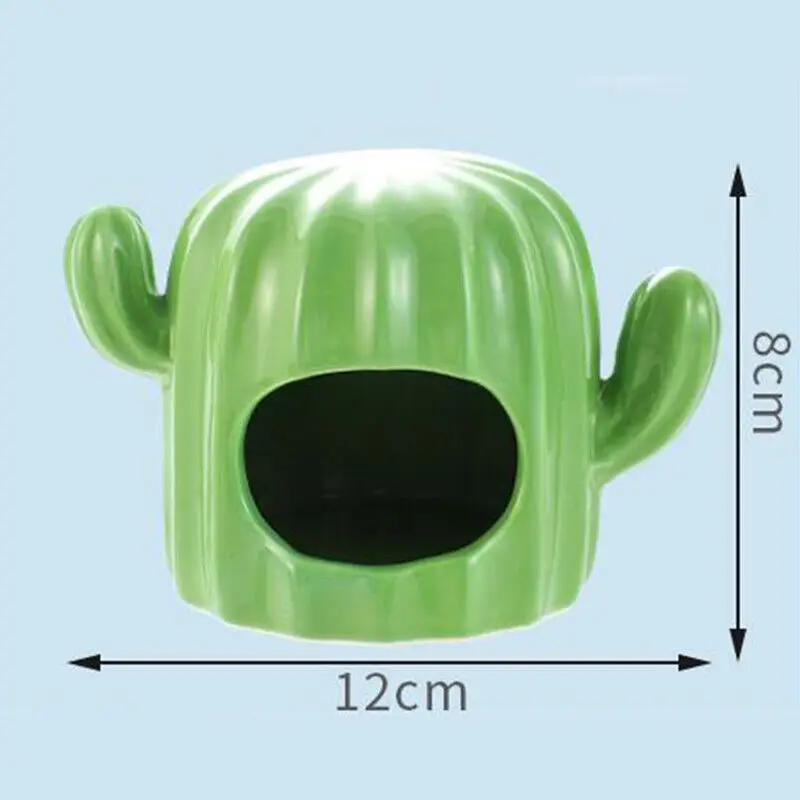 Cactus Food Bowl & Bath Tub with Water Bottle Holder 5