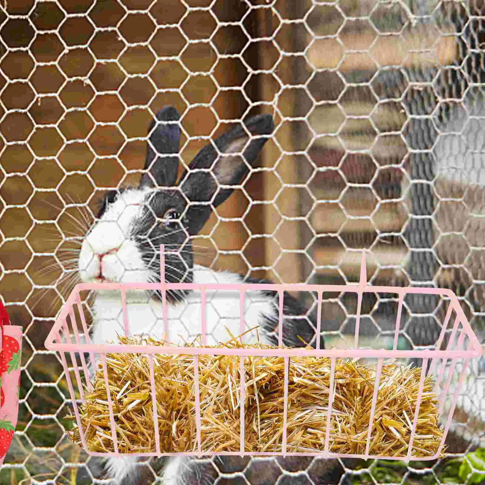 Hanging Rabbit Feeder 4