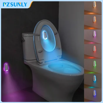 Disco Toilet