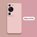 Sakura Pink