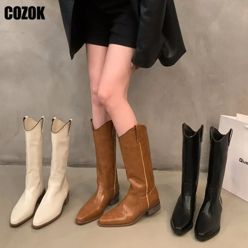

Thick Heels Western Cowgirl Knight Boots Women Mid Calf Boot 2023 New Vintage Autumn Winter Slip On Pumps Ladies Shoes Female