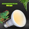 UVA+UVB Reptile Lamp Bulb Turtle Basking UV Light Bulbs Heating Lamp Amphibians Lizards Terrarium Temperature Controller 2