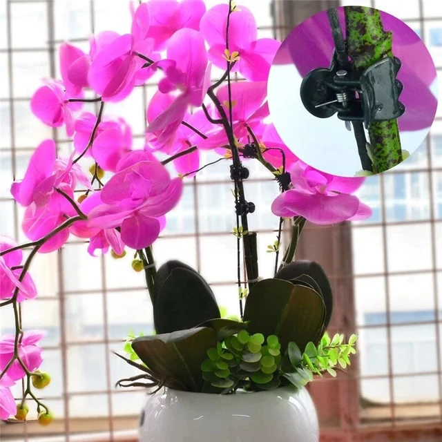 20/100/200 db Műanyag Növényi Tartó Klipek Orchidea Virágok Támogató Bilincs Növények Konzol Gyümölcs Zöldség Szorító Otthoni Kerti Szerszám - Image 3