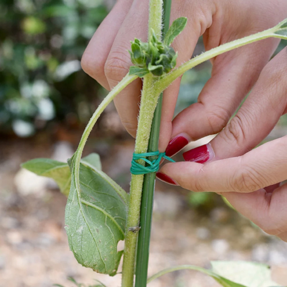 Plant Ties 1 Roll 100M Multifunctional Plastic Steel Twist Sturdy Reusable Garden Flower Support Strap