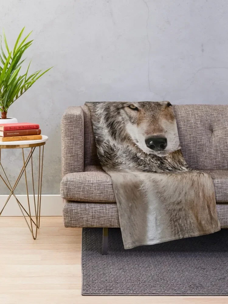 ���� ���� �� ������ ���, �߷�Ÿ�� ���� ���̵��, ��ũ�� �ڽ����� �ִϸ��̼� ����� �� �ʼ�ǰ ���