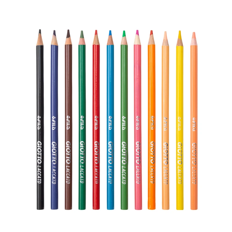 Set 12 Matite da Disegno Professionali 8B-2H (8B, 7B, 6B, 5B, 4B, 3B, 2B, B, HB, F, H, 2H) con Mina in Grafite, Ideali per Illustrare e Ombreggiare