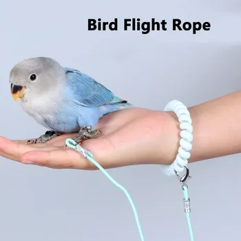 Parrot Pigeon Bird Outdoor Training Leash Bird Ankle Chain Parrot Anti Fly Traction Leash No Foot Injury Bird Training Leash