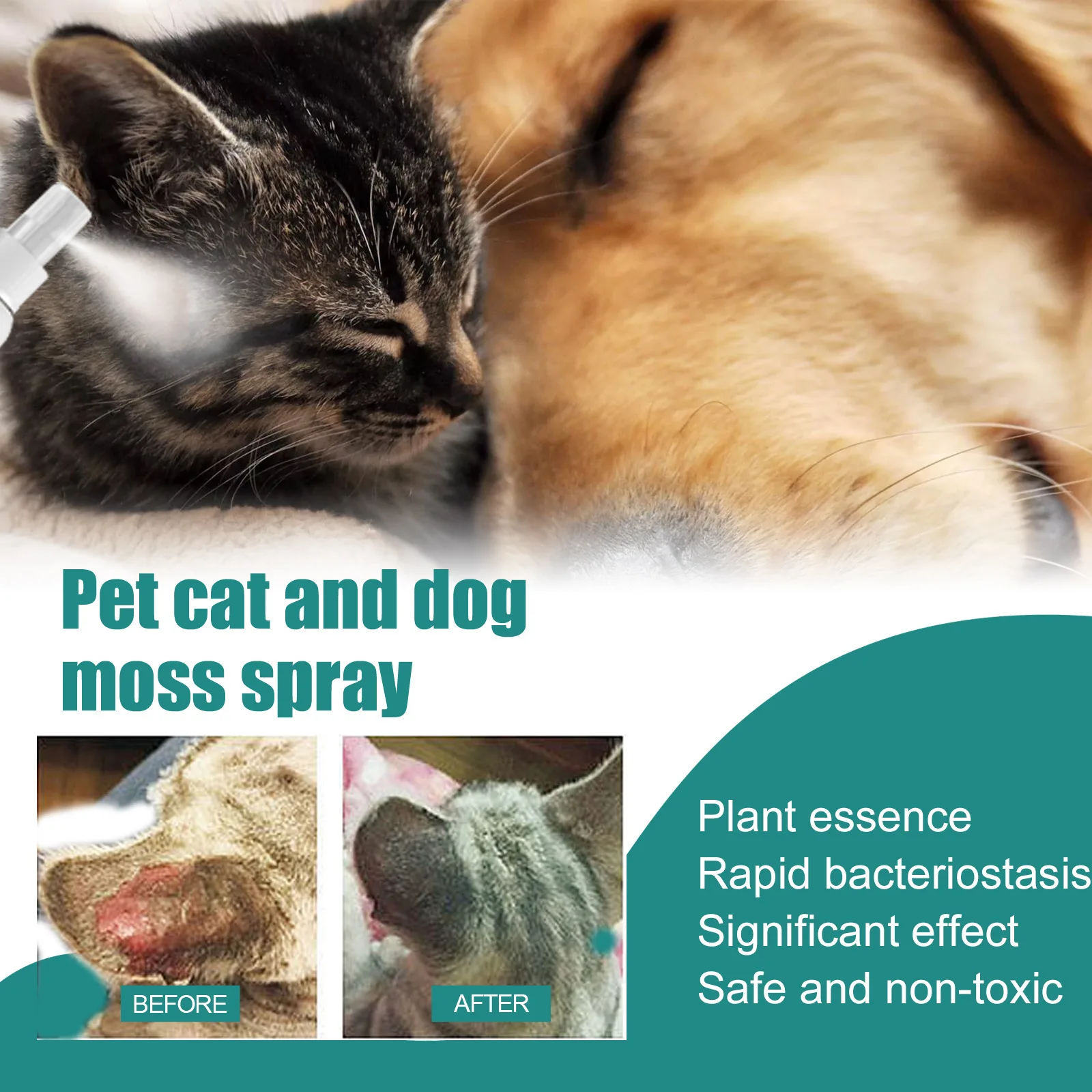 Photo inspiration: Medications For Cats With Flea Allergy Dermatitis Reference: Pet Fur Spray Treatment Allergies Dermatitis Eczema For Cat 04
