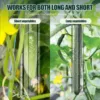 Fruit Shaping Growing Mold Easy to Store and Carry Out Transparent Mold Suitable for Growing Application 1