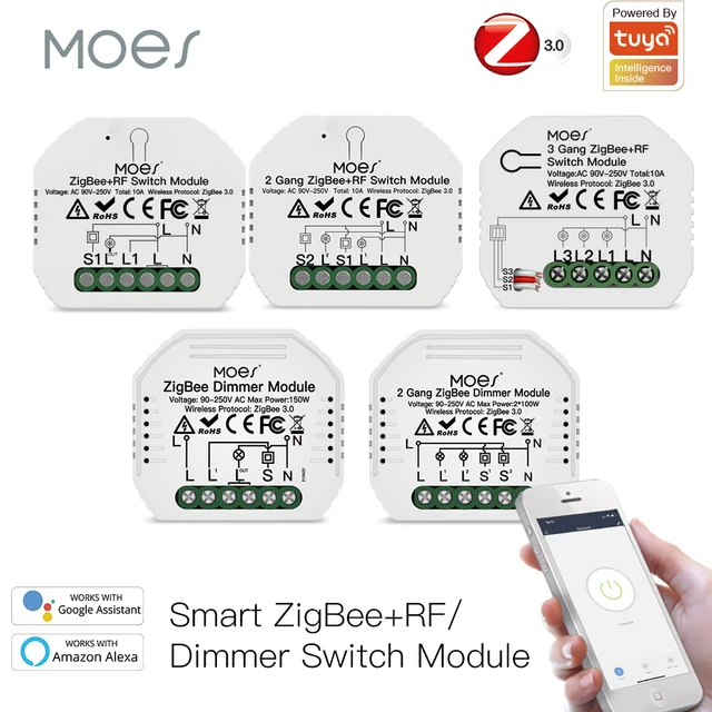  Zigbee - Mini módulo de relé de interruptor inteligente WiFi,  control de modo dual de 2 vías, interruptor de 16 A para automatización del  hogar inteligente, compatible con Alexa Google Home 