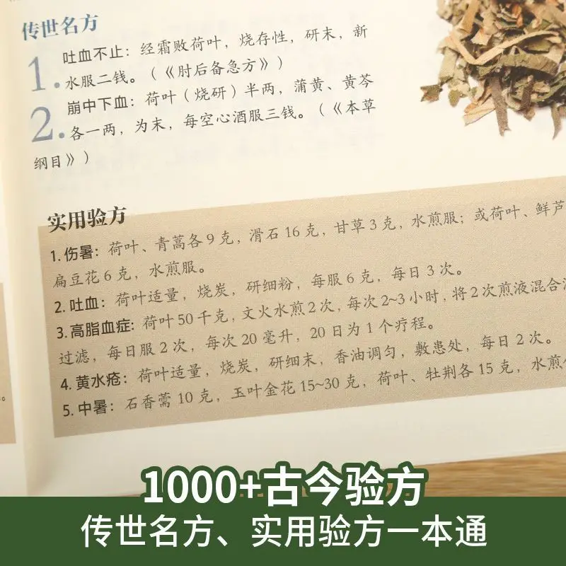 Рисунок 5 - Энциклопедия традиционной китайской медицины