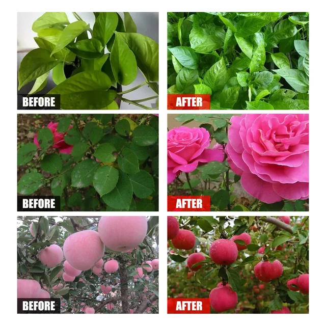 Aminosav Növényi Tápanyagoldat Szerves Lombműtő Nyomelem A Műtrágya Elősegíti Zöld Levelek Gyökereit - Image 6