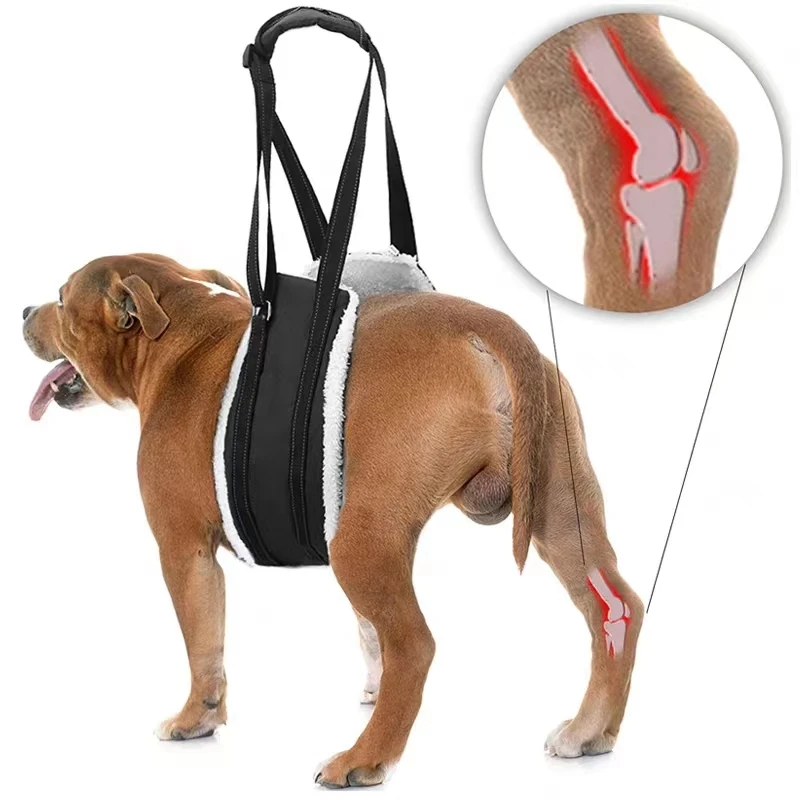 Dog Wheelchair Aid Adjustable Dog Sling Chest Support Dog Hip Harness to Help Lift Rear Leg Support for Canine Aid Straps dog wheelchair aid