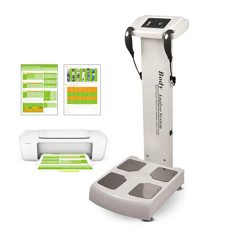 

factory price GS6.5 body composition analyzer/body health scale with printer /body fat machine