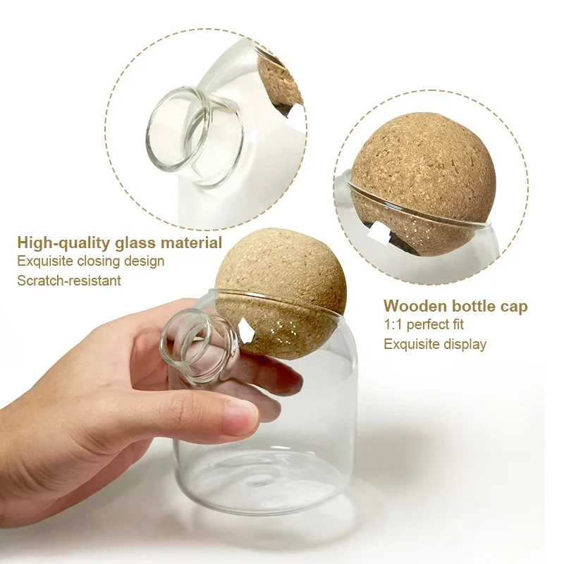 Nordic Style Glass Vase Home Decoration Hydroponic Vases Transparent Tabletop Flower Decor Ornament Hydroponic Plant Bottle Cork 4