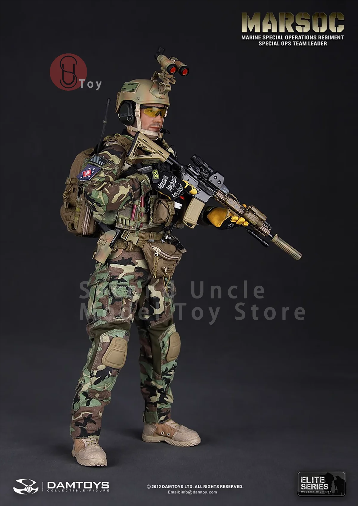 DAMTOYS DAM78006 1/6 MARSOC Marine Corps Special Operations Unit