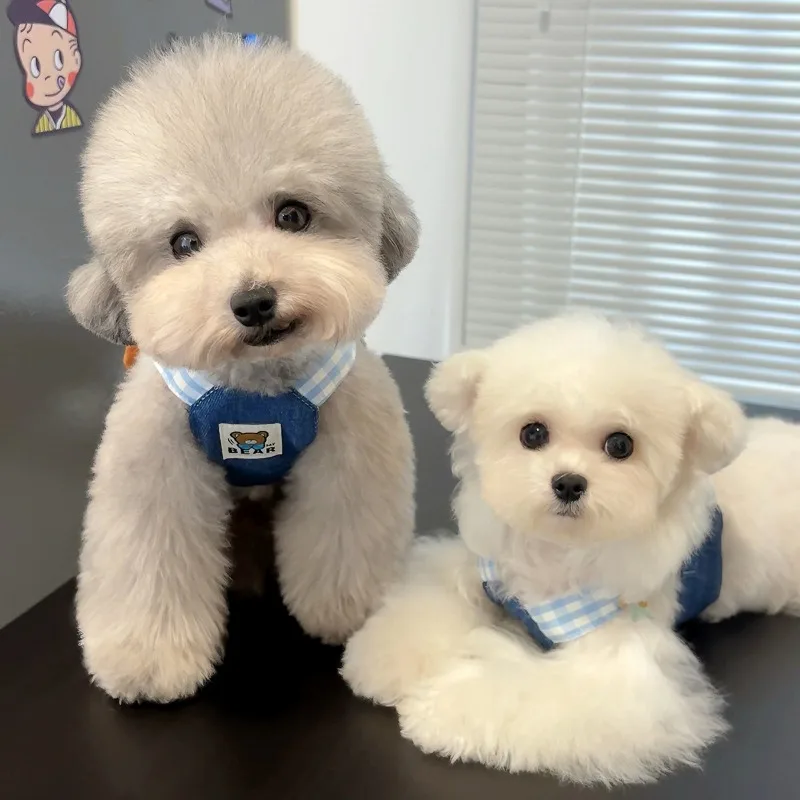 1/Set Dog Harness Leash Puppy Hat Cute Bear Plaid Stripe Harness Leash Rope Ins Style Dog Walking Small Supplies pet harness leash set pet harness set pet leash set