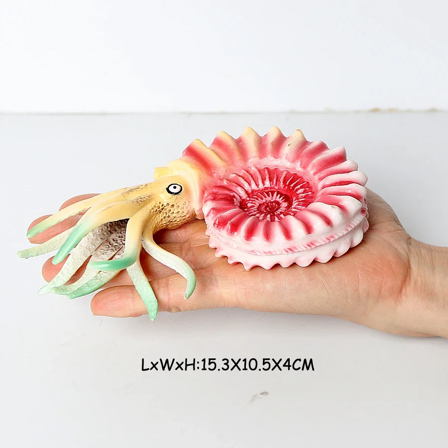 Sea Life Animal Figurine Set - Nautilus, Cameroceras, Ammonites, and More