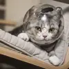Breathable Ball-shaped Cat Head Cover Sturdy Anti-bite Kitten Protective Helmet Pet Grooming Space Hood Muzzle Mask