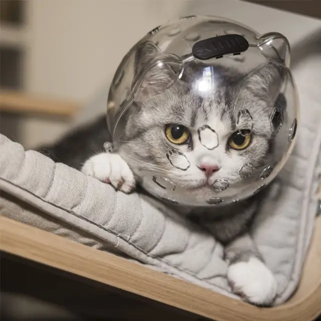 Breathable Ball-shaped Cat Head Cover Sturdy Anti-bite Kitten Protective Helmet Pet Grooming Space Hood Muzzle Mask Breathable Ball-shaped Cat Head Cover Sturdy Anti-bite Kitten Protective Helmet Pet Grooming Space Hood Muzzle Mask