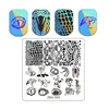 Dragon Eye Ink Stamping Plates  Cute Cat Claw Dog Stainless Steel Image Stencil Flower Leaf Nail Art Stamp Templates Line Face 6