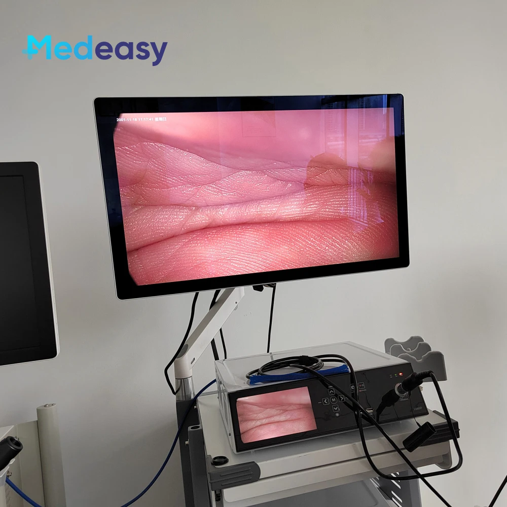 Транссексуалдар порно фотосуреттер мен бейнелерді көреді