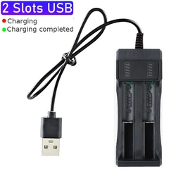 Universal Multi-Slot USB Rechargeable Lithium Battery Charger (2 slots)