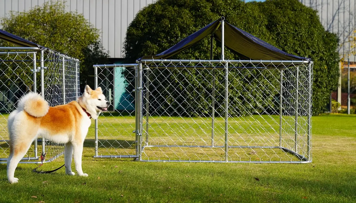 Outdoor dog kennel image 6