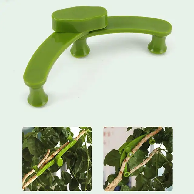 Növényi Edző Klipek 10Db Hajlító Ág Klip Húzó Gallyak Rögzítő Bilincs Az Alacsony Stressz Edzésvezérlő Növények Bonsai - Image 3