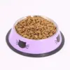 Supet Dog Cat Bowl, Dog Water Bowl with Non-Slip Rubber Base, Metal Insulated Stainless Steel Cat Bowls, Double Wall Cat Bowl 5