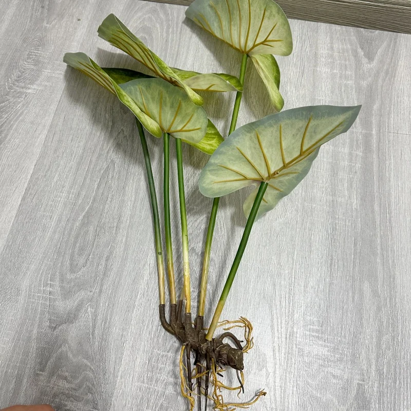 Realistic Large Lotus Leaves with Roots - Artificial Green Plant for Landscape and Outdoor Hotel Decor