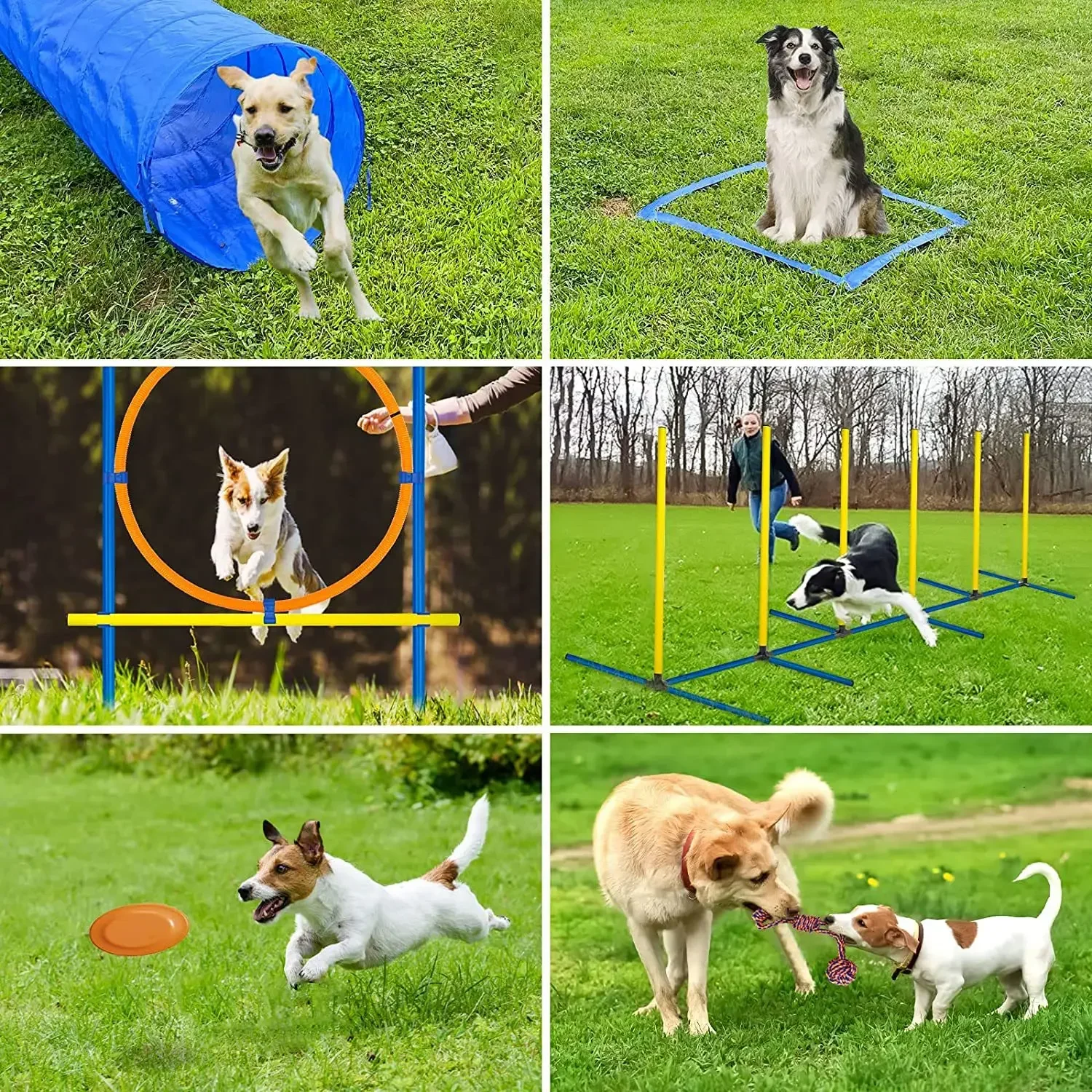 Pet Agility Obstacle Training Set 5