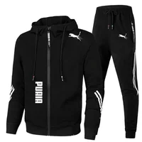 Ensemble de survêtement pour homme printemps-automne, sweat à capuche à manches longues et pantalon de jogging, 2 pièces, vêtements de sport décontractés pour la course à pied 3
