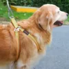 Double-headed Dog Tie Out Cable Leash ,raction rope with metal buckle steel wire anti-rust training collar,Outdoor Dogs Strap 2