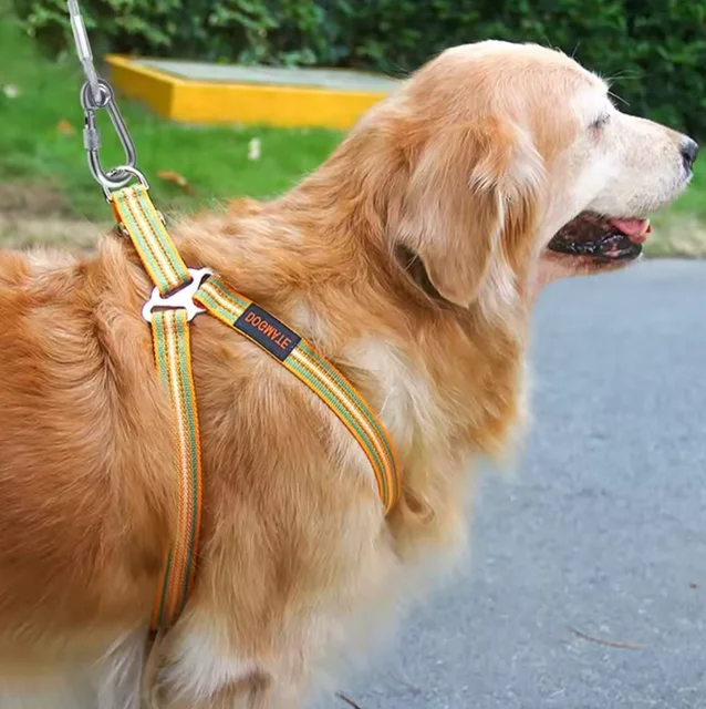 Double-headed Dog Tie Out Cable Leash ,raction rope with metal buckle steel wire anti-rust training collar,Outdoor Dogs Strap 2